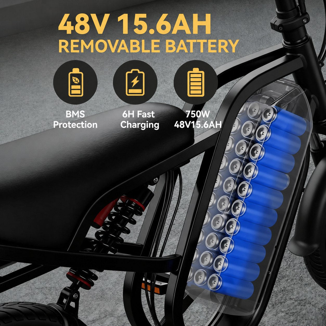 1500W Electric Bike